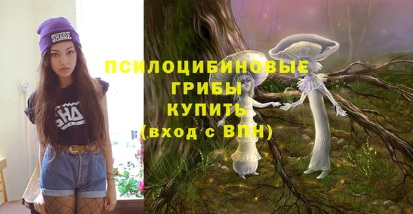 каннабис Арсеньев