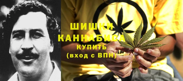 амф Вяземский