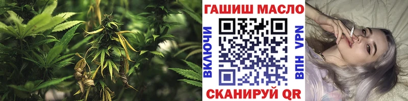 Дистиллят ТГК Wax Олонец