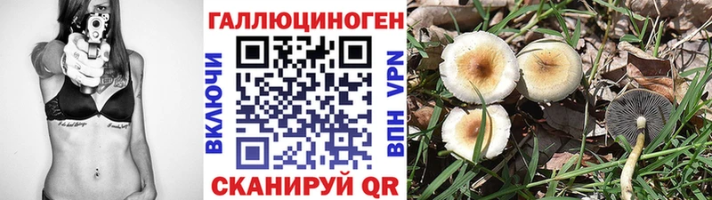 Псилоцибиновые грибы Psilocybe  Олонец 